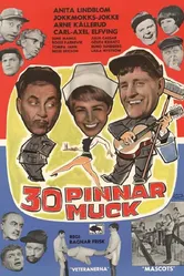 30 pinnar muck постер