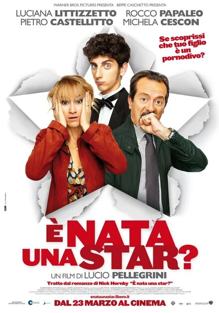 Постер И родилась звезда? 2012