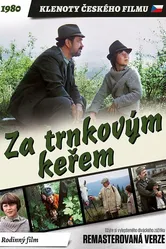 За кустами терновника 1981 постер