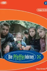 Детективы из табакерки 1999 постер