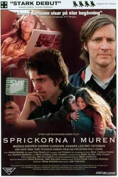 Sprickorna i muren постер