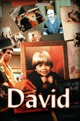 David 1988 постер