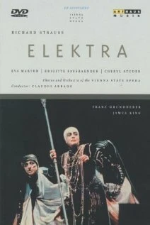 Постер Электра 1989