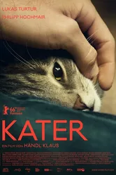 Кот 2016 постер