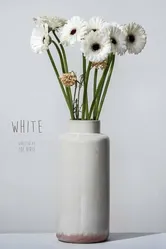 White 2021, Австралия постер