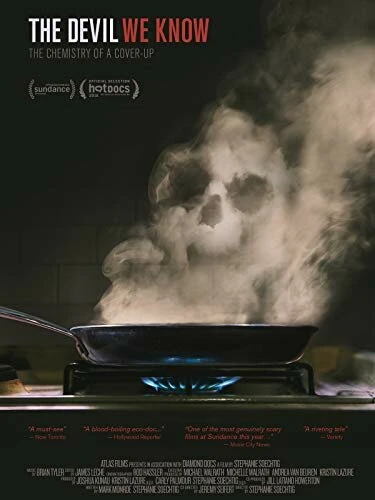 Постер The Devil We Know