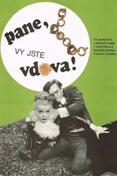Пан, вы вдова 1971 постер