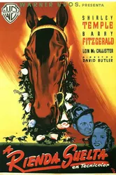История Фаворита 1949 постер
