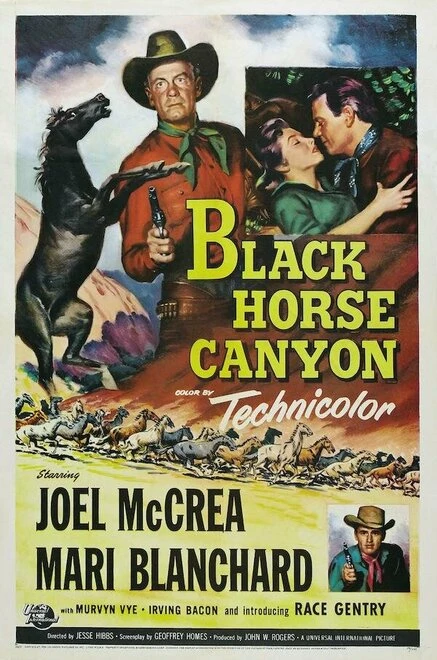 Постер Black Horse Canyon
