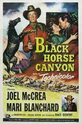 Black Horse Canyon постер