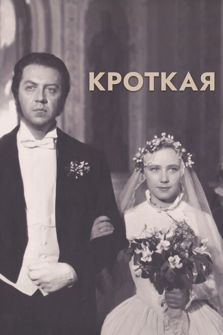 Постер Кроткая 1960