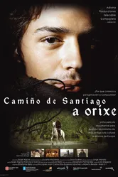 Camino de Santiago. El origen постер
