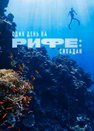 Один день на рифе: Сипадан 2023 постер