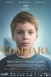 Сокровище 2015 постер