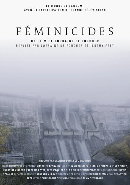 Постер Féminicides