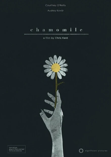 Постер Chamomile 2013