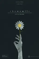 Chamomile 2013 постер