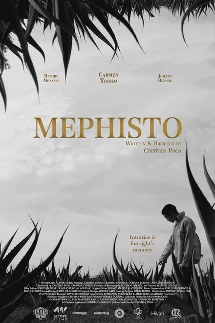 Постер Mephisto 2022