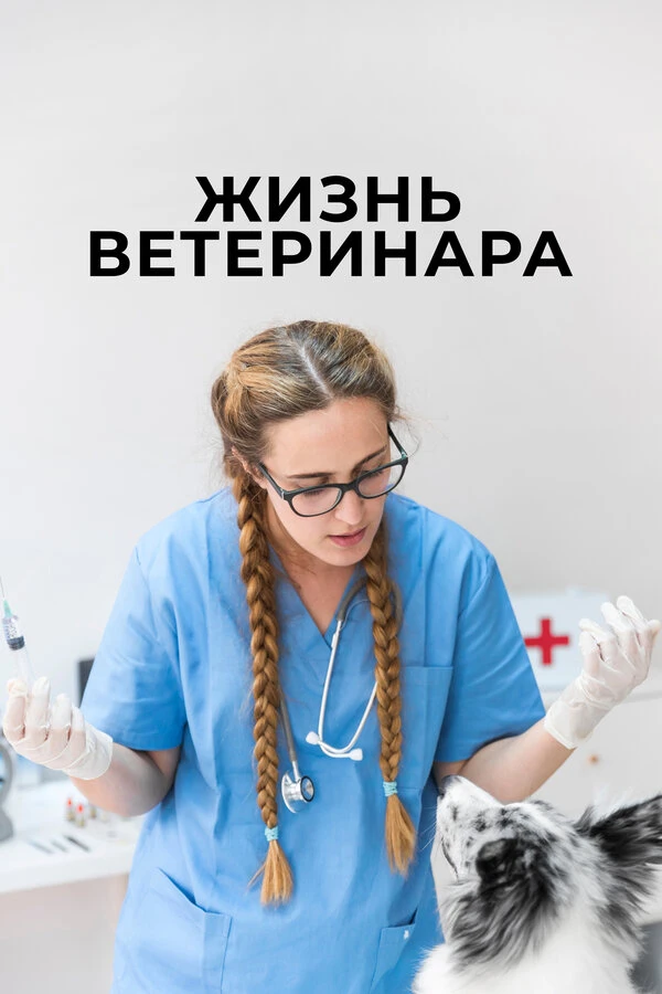 Жизнь ветеринара постер