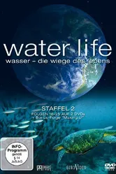 Водная жизнь 2009 постер
