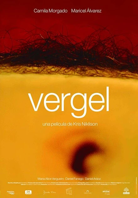 Постер Vergel