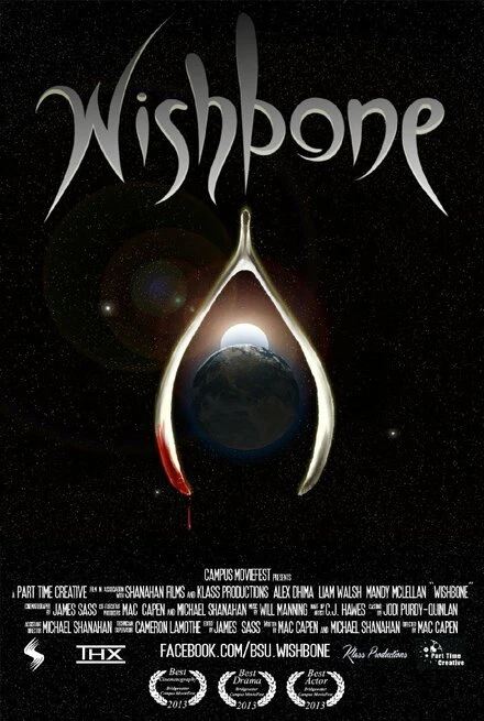 Постер Wishbone 2013