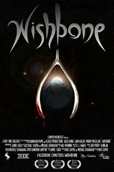 Wishbone 2013 постер
