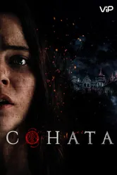 Соната 2018 постер