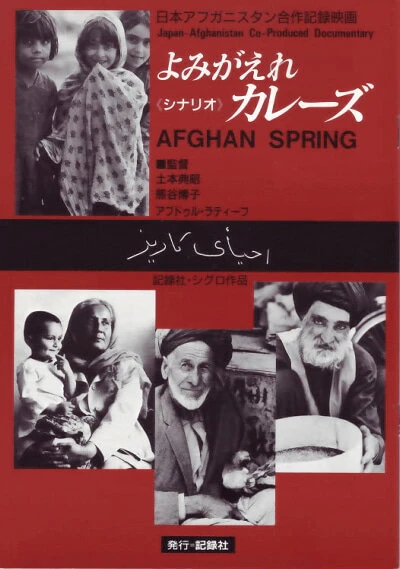 Постер Афганская весна 1989