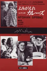 Афганская весна 1989 постер