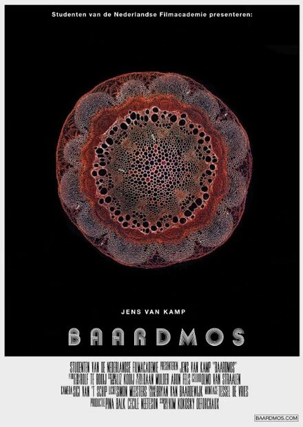 Постер Baardmos