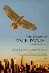 The Legend of Pale Male постер