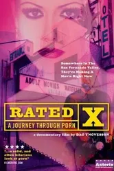 Рейтинг X: Путешествие через порно 1999 постер