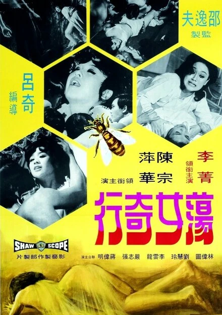 Постер Dang nu ji hang