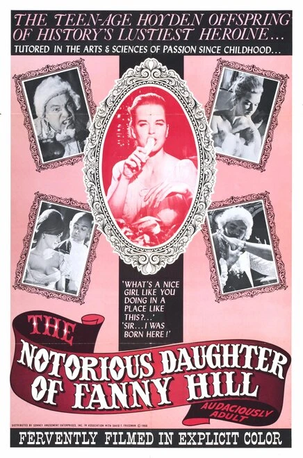 Постер The Notorious Daughter of Fanny Hill