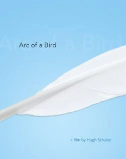 Постер Arc of a Bird