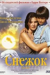 Снежок 1995 постер