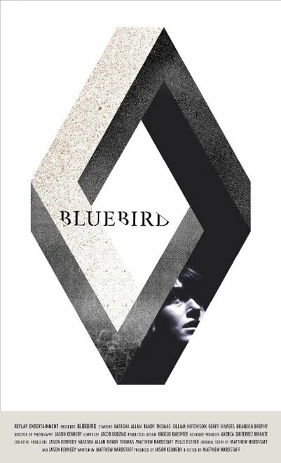 Постер Bluebird 2015