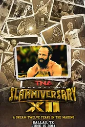 TNA Сламмиверсари 12 2014 постер