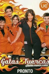Кошечки и орехи 2005 постер