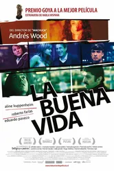 Чудесная жизнь 2008 постер