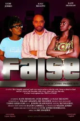 False 2013 постер