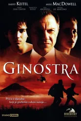 Гиностра 2002 постер