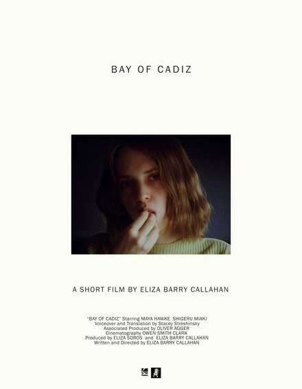 Постер Bay of Cadiz