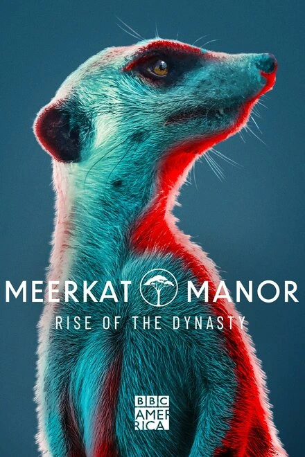 Постер Meerkat Manor: Rise of the Dynasty