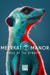 Meerkat Manor: Rise of the Dynasty постер