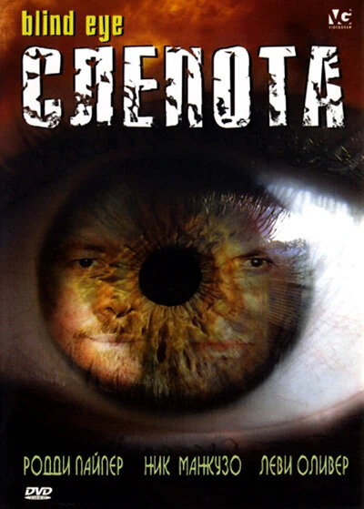 Постер Слепота 2007