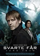 Варг Веум 8 – Черная овца 2011 постер