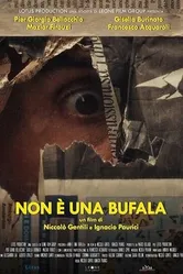 Non è una bufala постер