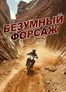 Безумный форсаж 2017 постер